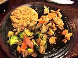 Bonzai New Braunfels