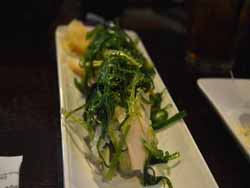 Bonzai New Braunfels